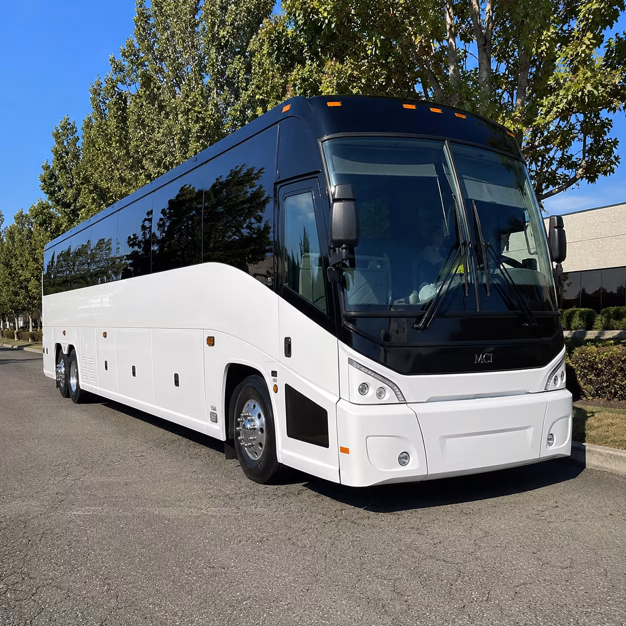 new york 50 passenger charter bus